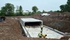 DSC_3479 edited cropped small