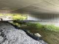 Trisan - Tri-Span Schomberg install Aug 2025 3 small